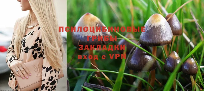 Галлюциногенные грибы Magic Shrooms  магазин продажи   Билибино 